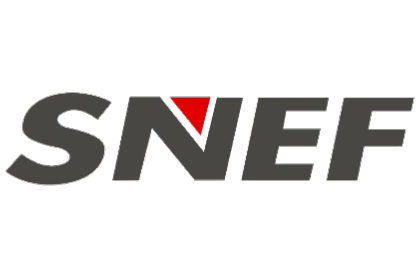 SNEF portfolio logo - Verz Design