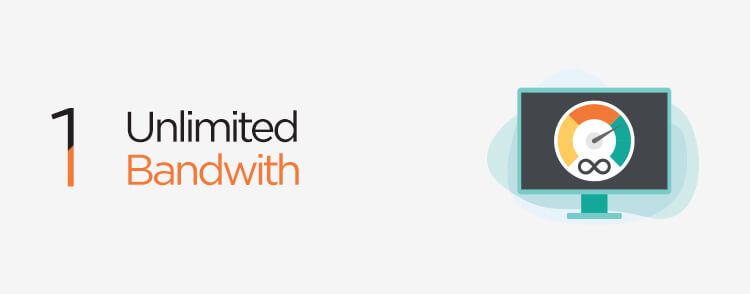 Shopify Plus provides unlimited bandwidth